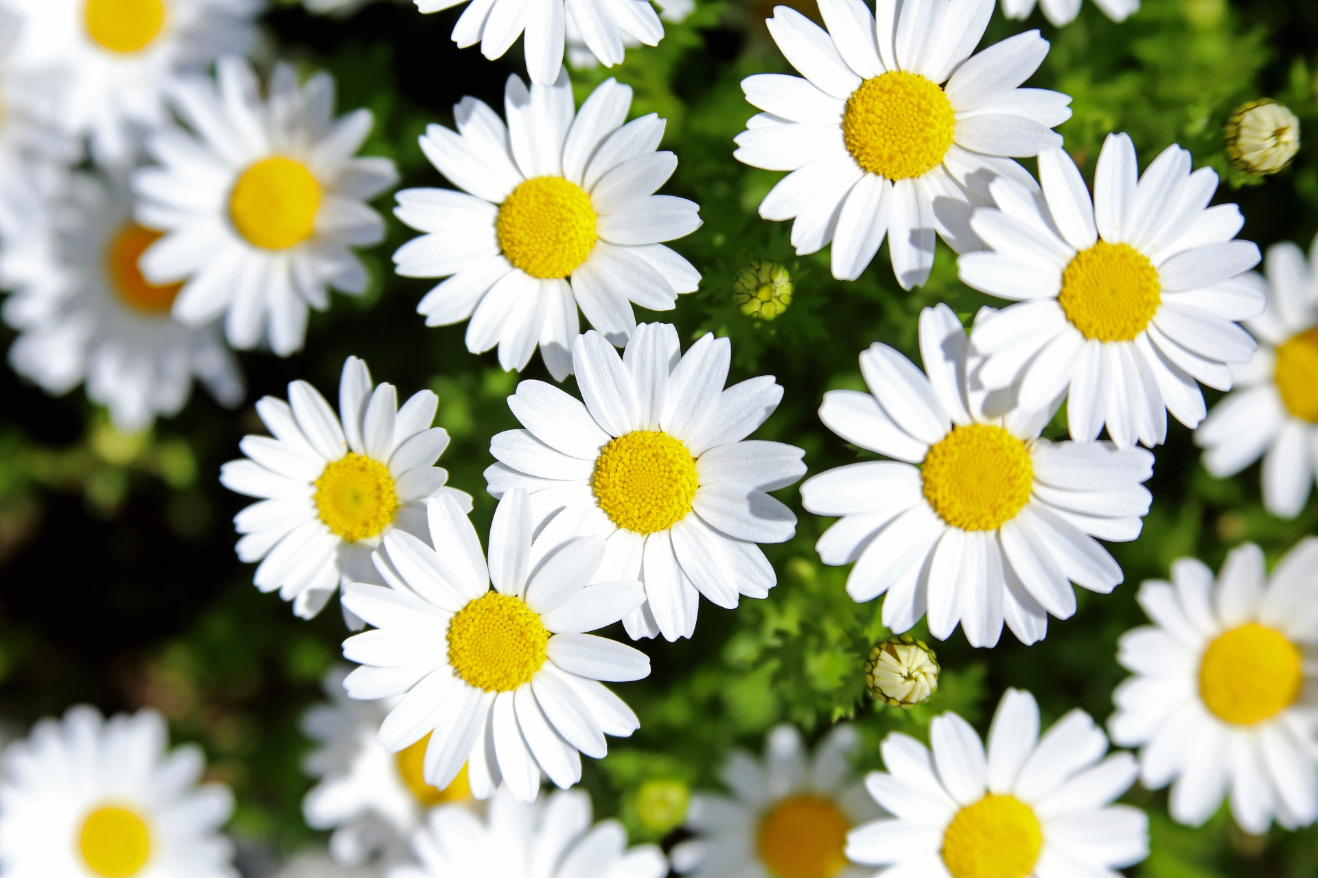 【首、肩、肩甲骨の痛み】 50代女性　介護職