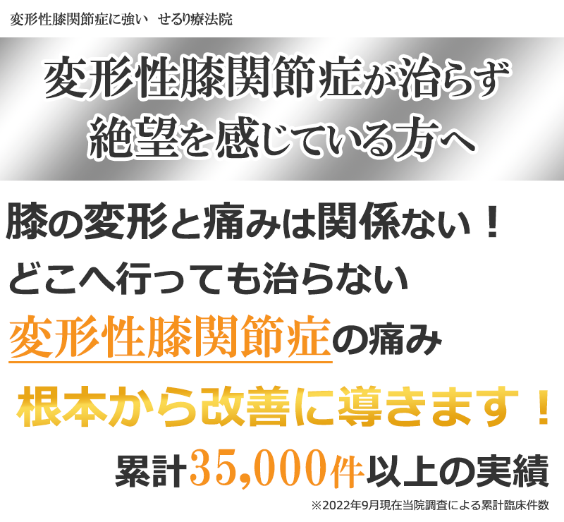 変形性膝関節症を根本から改善に導く横浜市の整体せるり療法院